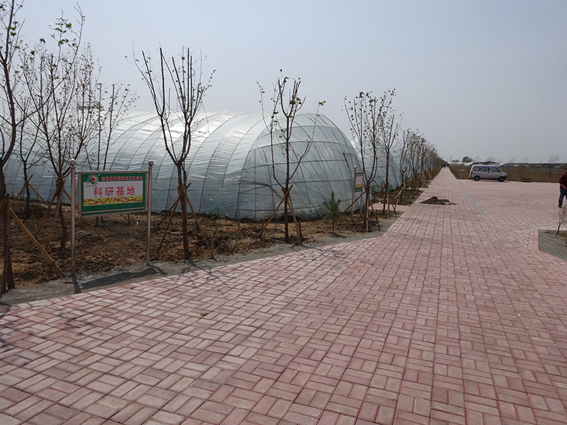 2、棚膜科研基地.jpg