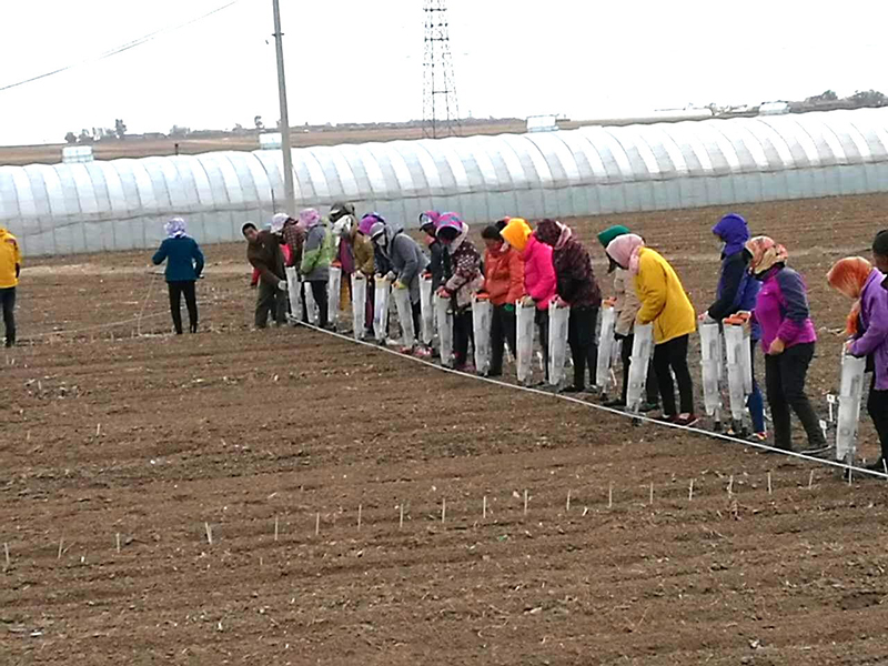 8、科研基地雇人种地.jpg