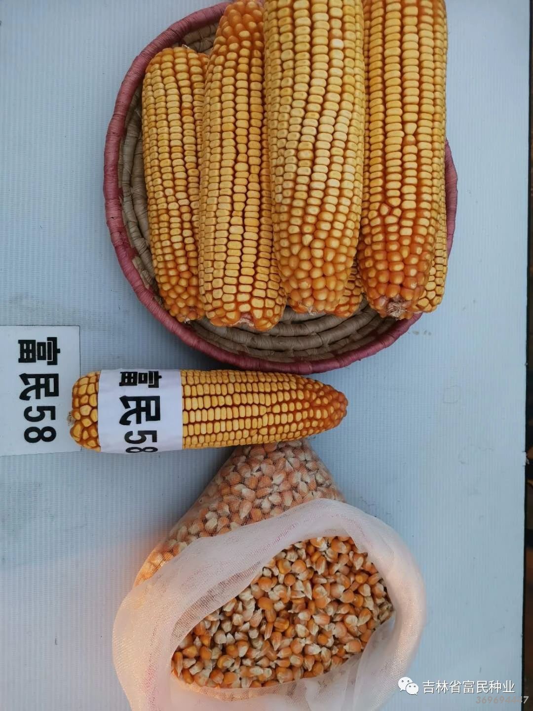 1595494131634804.jpg